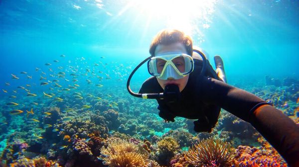Guía esencial que te impulsa a practicar buceo memorable